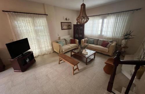 Olive stone Villa - Foto 41