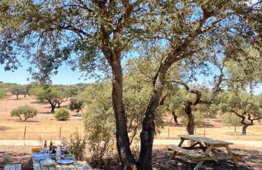 Casas do Apeadeiro de Evoramonte - Foto 47