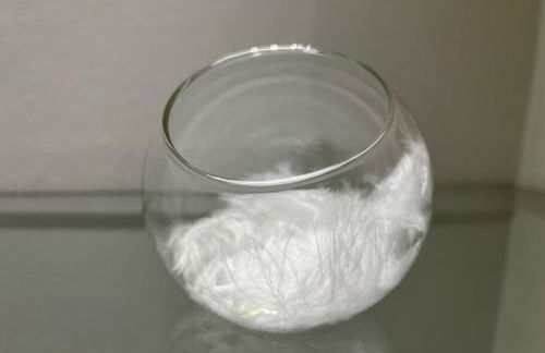 Plumes Résidence de l’Agout - Photo 21