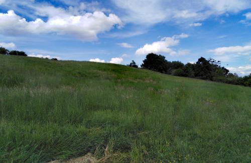 Maison située aux confins de la Vallée du Loir - Photo 8