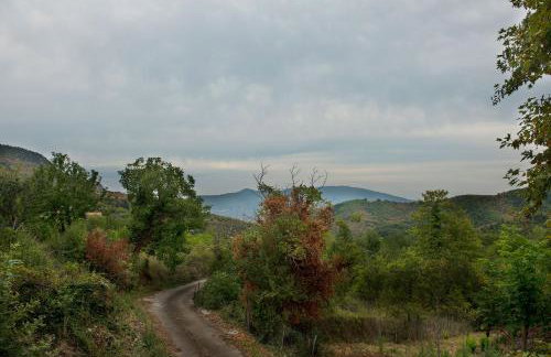 Ο κισσός - Foto 4