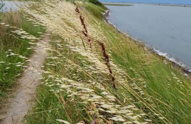 Bungalow bei Emma - Foto 22