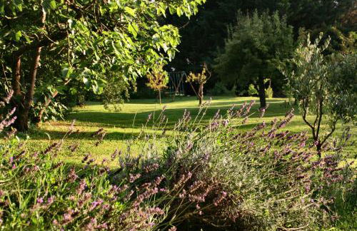 Agriturismo Poggio Salvi - Foto 12