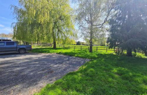 The Little Cottage - Peaceful, Dog Friendly Cottage in 5 Acres - Photo 15