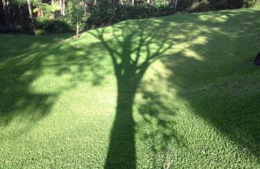 Reserva Atibaia / Casa de Montanha - Photo 20