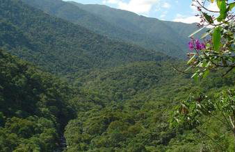 Stay in Itatiaia - Foto 60