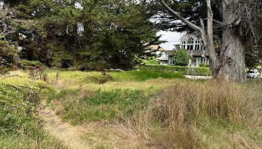 Steps to beach, restaurants, Wharf, Boardwalk, shops, pet friendly, fast Wifi, Lighthouse - Foto 4