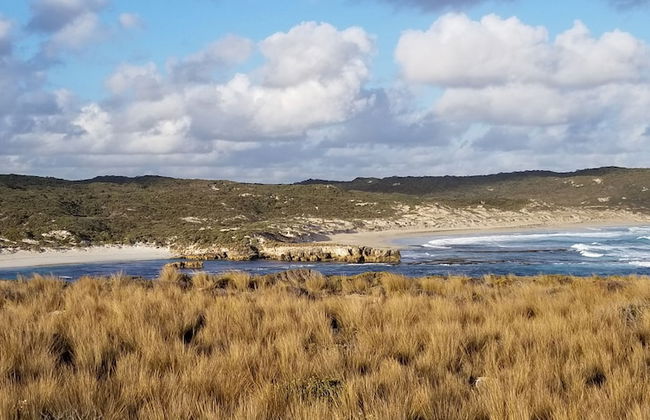 Hanson Bay Wildlife Sanctuary and Cabins - Photo 25