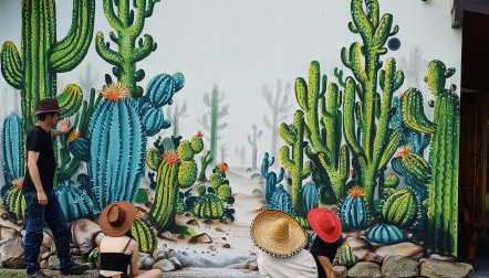 Domki Kaktus - Foto 4