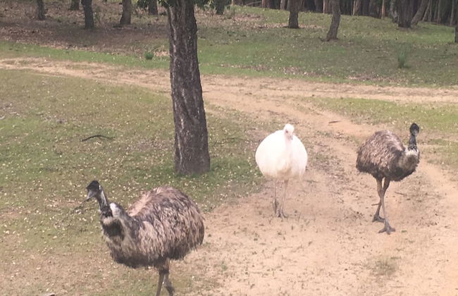 Bellavista - Foto 75