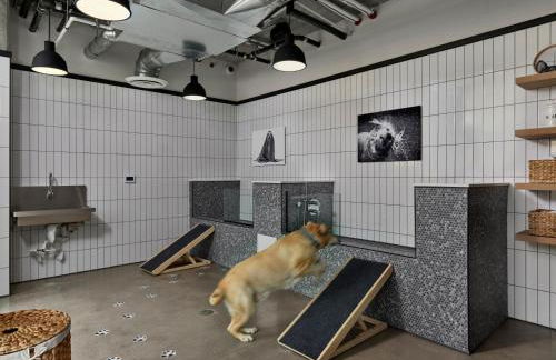 AVE Santa Clara - Short Stay Furnished Apartment - Photo 15