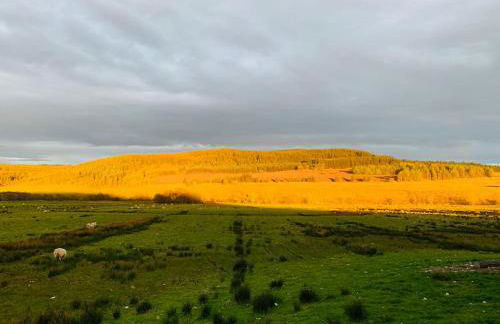 The Pod Over By - Foto 23