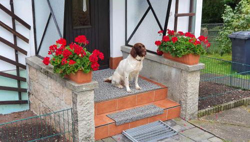 Ferienhaus Harztraum - Foto 2