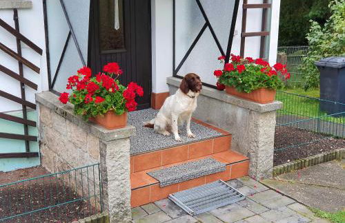 Ferienhaus Harztraum - Foto 2