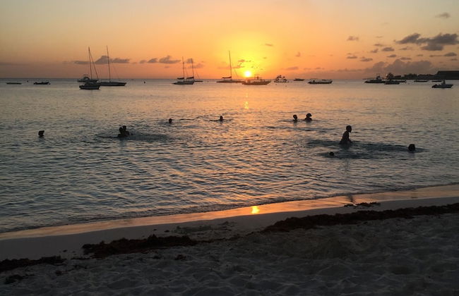 Barbados Chi Guest House - Photo 77