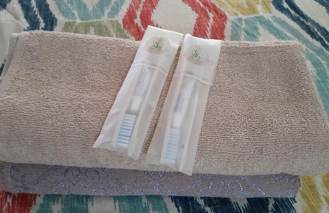 Sagita Residence-Taamansari Mahogany - Photo 9