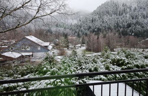 T'Choupette des Vosges - Foto 21