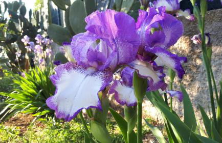 Casa di Giulia (Bambini gratis fino a 6 anni) - Foto 35