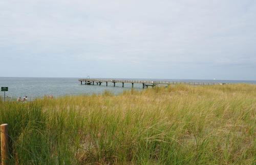 Familienfreundliches Ferienhaus Salzhaff-Urlaub - Foto 40