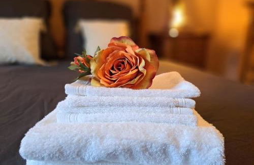 Gîte Spa "La Foret Argentée" proche Gérardmer - Foto 18