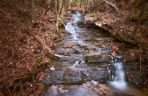 Couples Treehouse Retreat with Hot Tub and Views - Foto 33