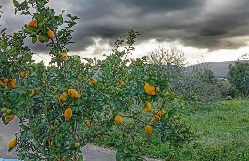 Angel's House - Foto 21