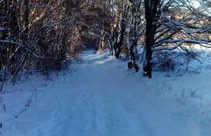 Ferienwohnung am Hochrhöner - Foto 33