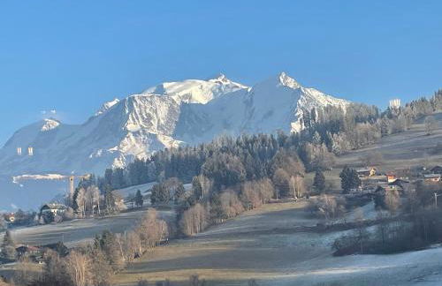 Luxury 2 Bedroom Apartment with view of Mont Blanc - Foto 9