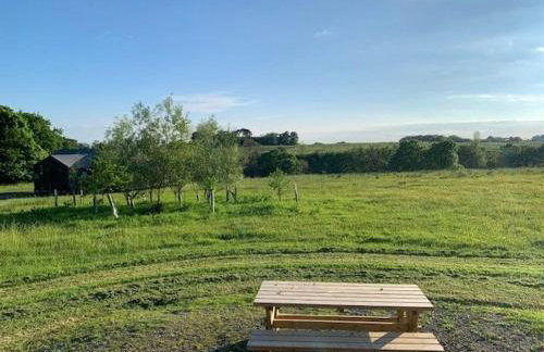 Curlew - Bleasdale - Foto 27