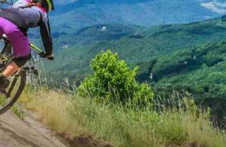 Cozy Charming Ski Chalet Sleeps 11 - Foto 46