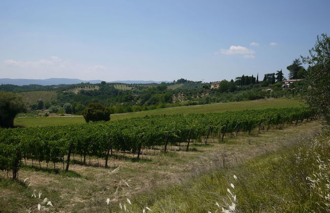 Agriturismo la Prodaia - Foto 67