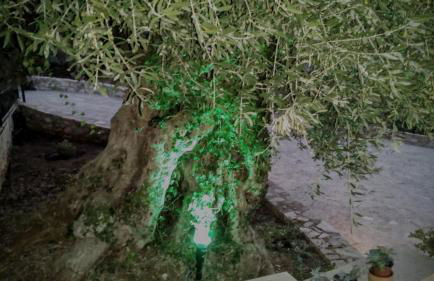 Tzitzifes Stone Mansion - Foto 72