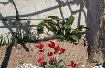 Apartments with a parking space Zupanje, Krk - 5307 - Foto 10