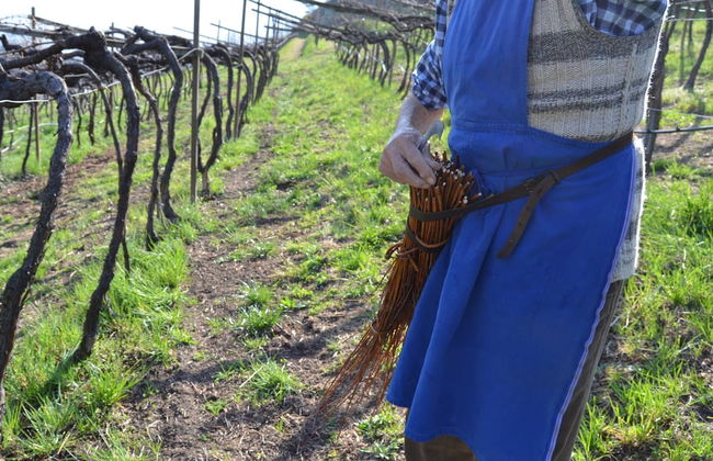 Vinea - Suites & Apartments - Photo 51