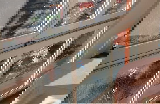 Kurmittelhaus Wagner Belvita - Photo 53