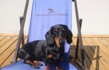 Pensjonat Ślepowron - Foto 15