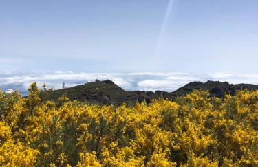 Mar de Lava - Foto 51