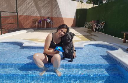 Casas Rurales de Vicorto - Foto 43