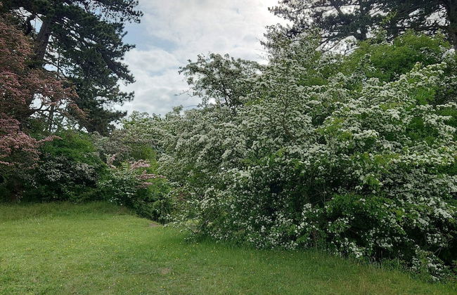 9 Person Holiday Home in Skibby - Foto 20