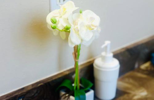 GREAT FOR BUSINESS & FAMILY TRIPS 3BD 2BA close to DESNEYLAND, FREE PARKING - Photo 12