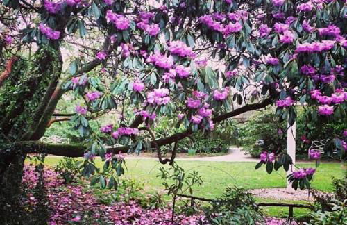 Sea Breeze Apartment Near the Eden Project - Foto 50