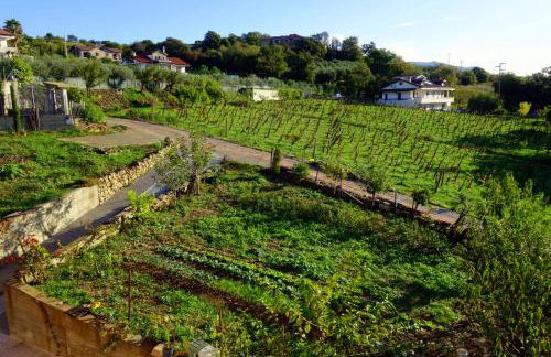 casa vacanze, via delle margherite 3 - Foto 14