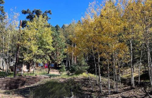 Cozy Cabin - Foto 26