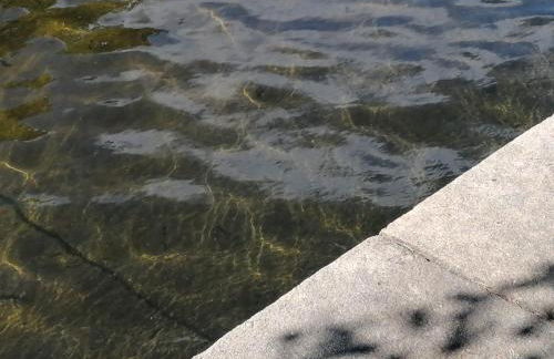 A Casa Pequenina - Escusa, Marvão - Foto 37