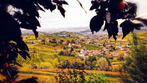 Sul Bric Dei Capalot - Photo 3