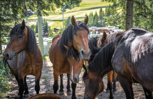 Apartements Precalalt - Foto 72