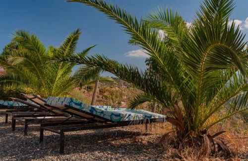 Nido Aguila Blanca - Foto 60