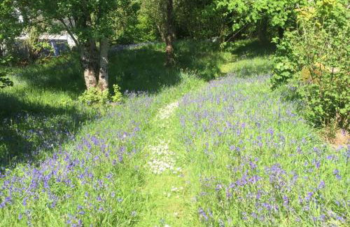 mill house steading overlooking the sea and mull - Foto 44