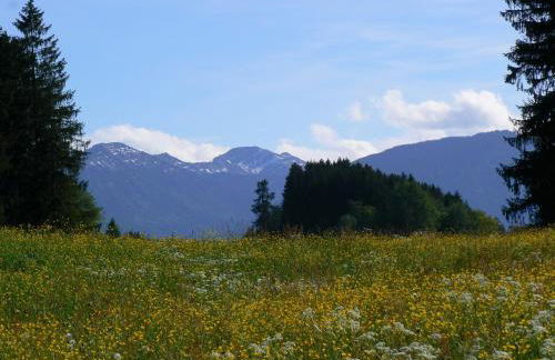 Ferienhof Hiemer - Foto 28