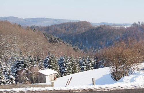 Eifelheimat-Lorbach in Schleiden-Herhahn - Foto 18